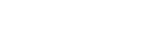 Ferret