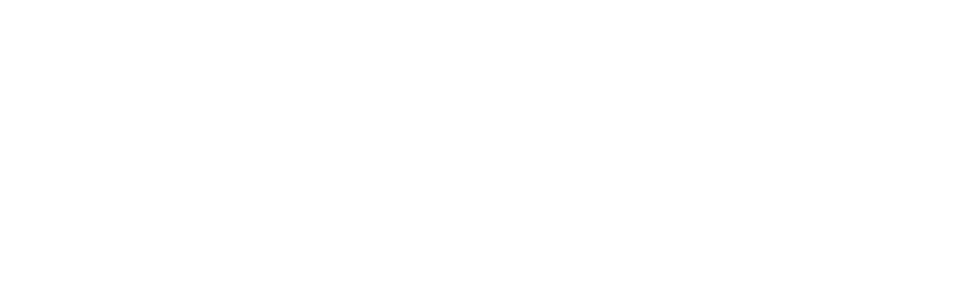 Predis.ai